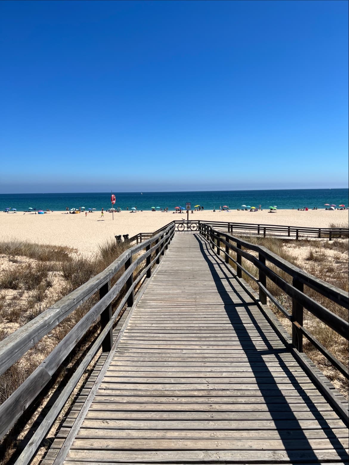 Meia Praia — foto 3