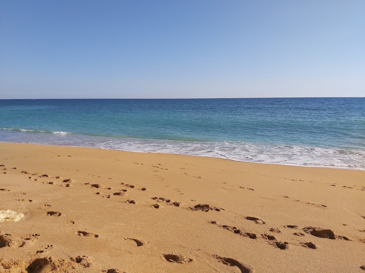 Praia da Coelha — foto 4