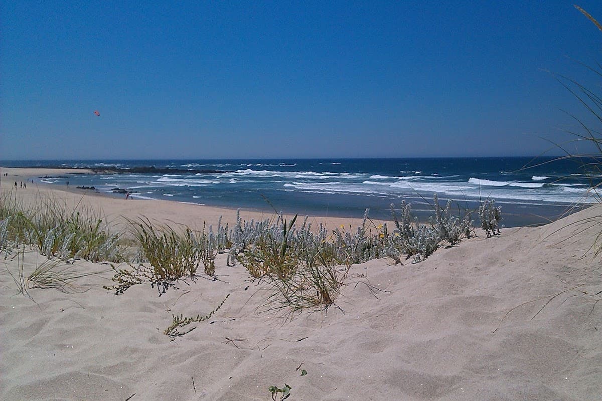 Praia de Afife — foto 4