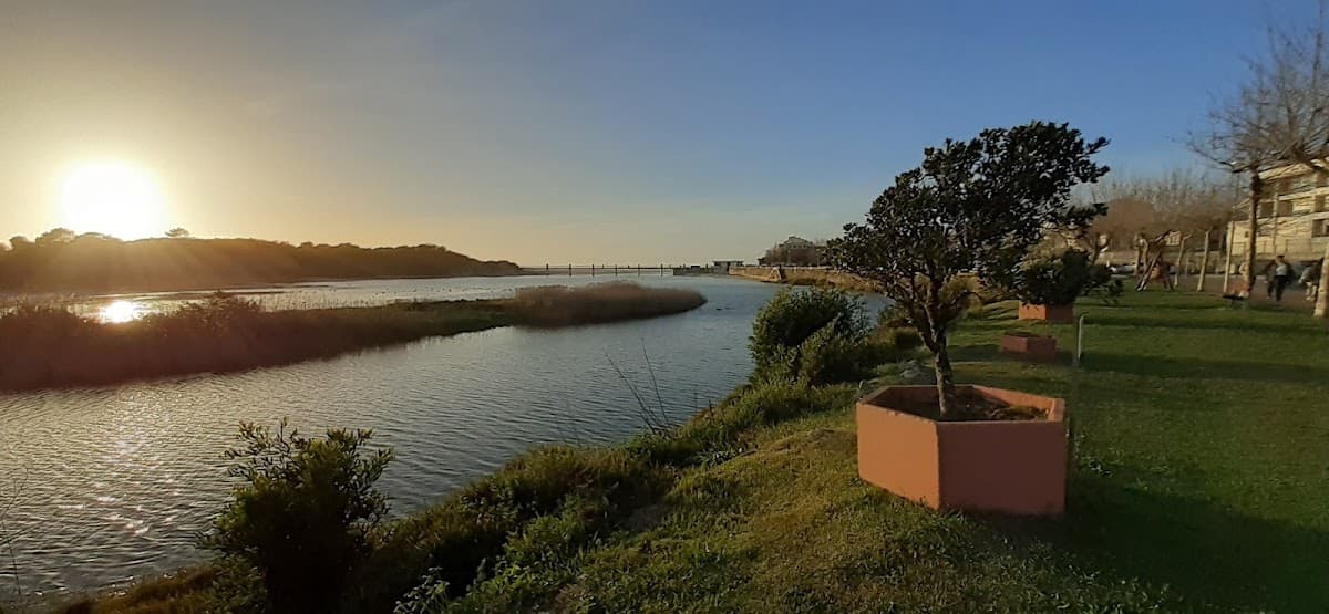 Praia de Âncora — foto 4