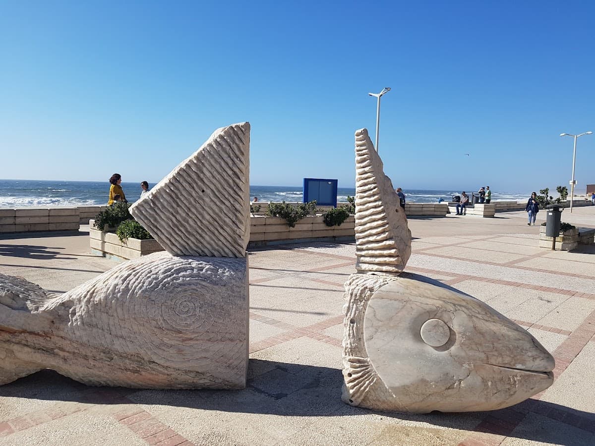 Praia de Furadouro — foto 1