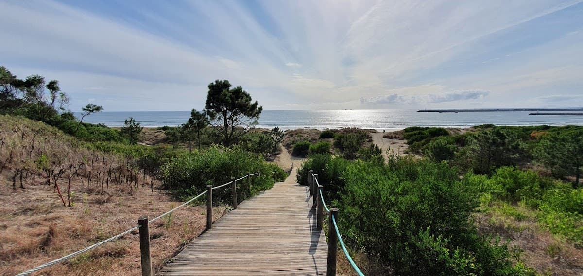 Luziamar — foto 3
