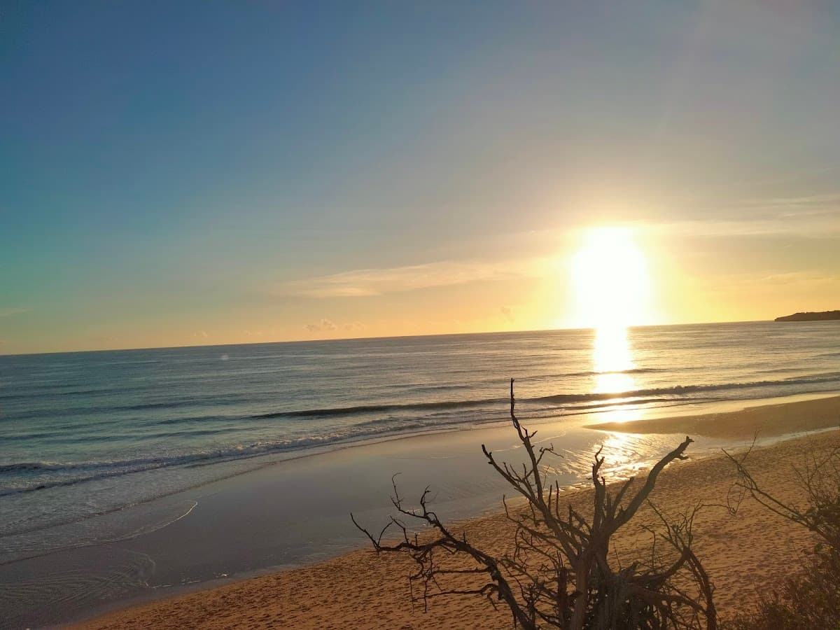 Praia de Meia Praia (Armação de Pêra) — foto 3