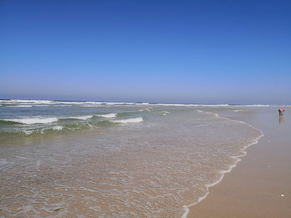 Praia de São Jacinto — foto 4