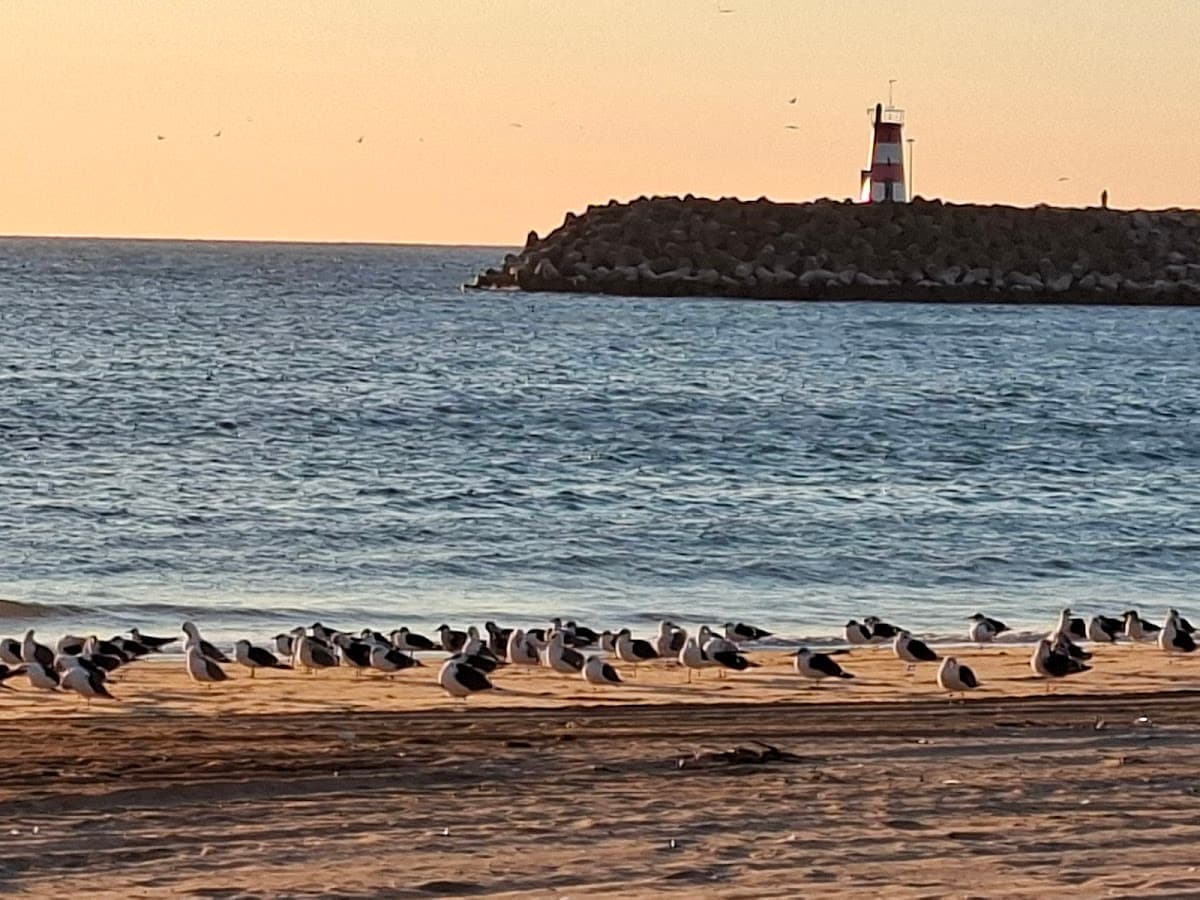 Praia de Sesimbra — foto 3