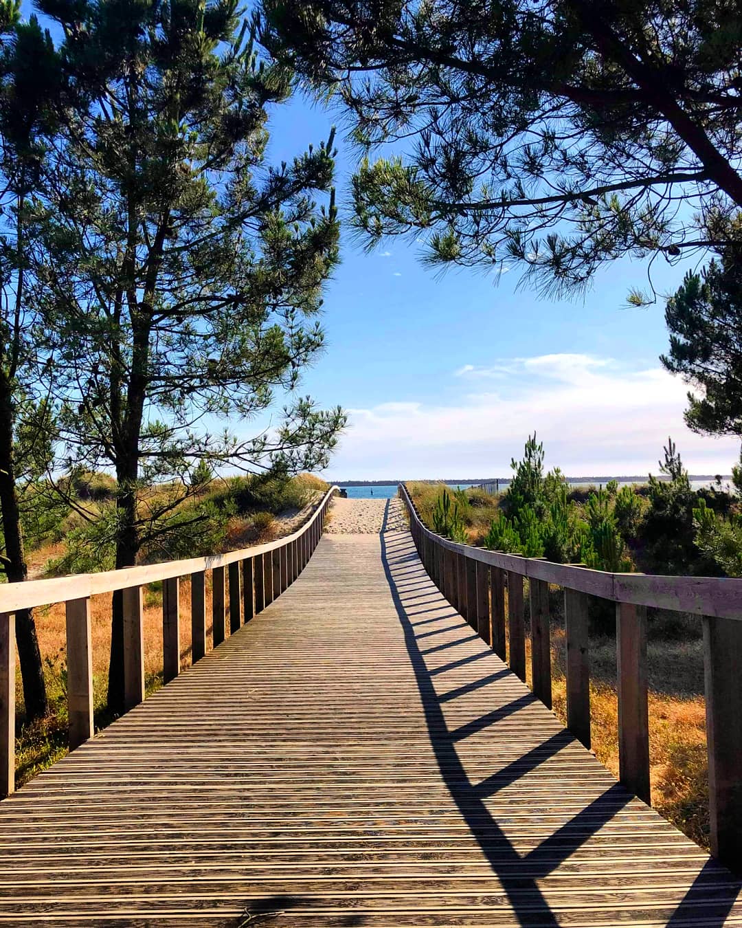 Praia do Cabedelo — foto 4