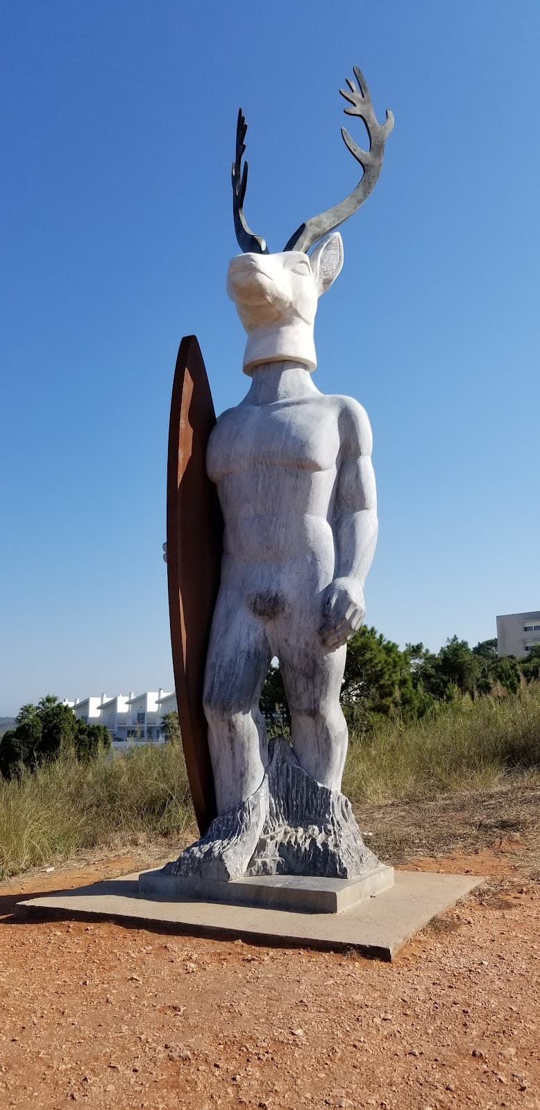Praia do Norte da Nazaré — foto 4