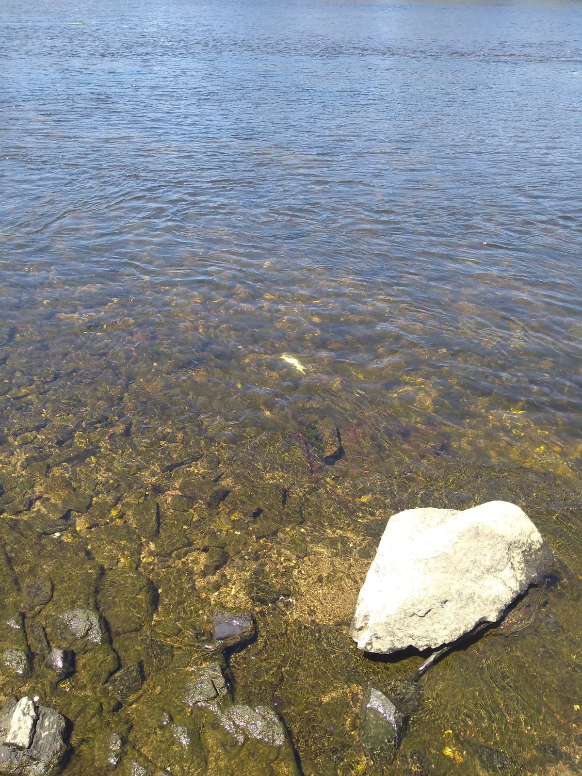 Praia Fluvial de Alvega — foto 4
