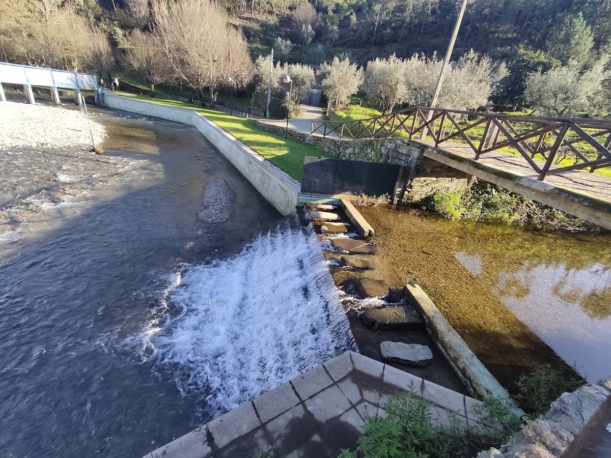 Praia Fluvial de Alvito — foto 4