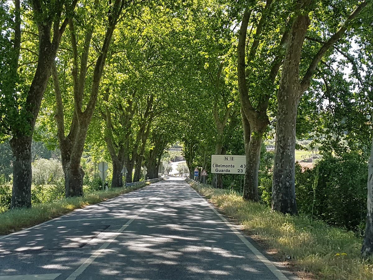Praia Fluvial de Belmonte — foto 2