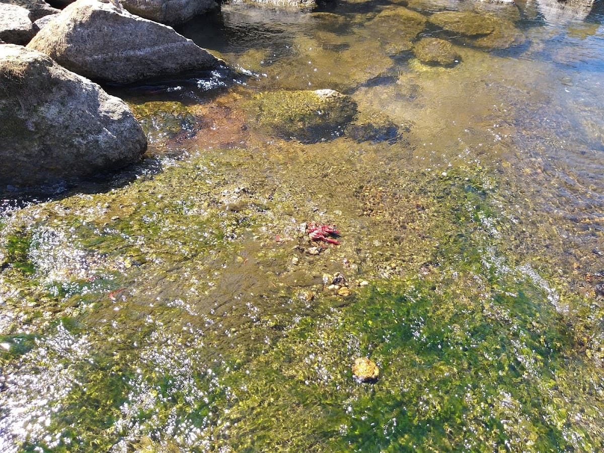 Praia Fluvial de Belmonte — foto 3