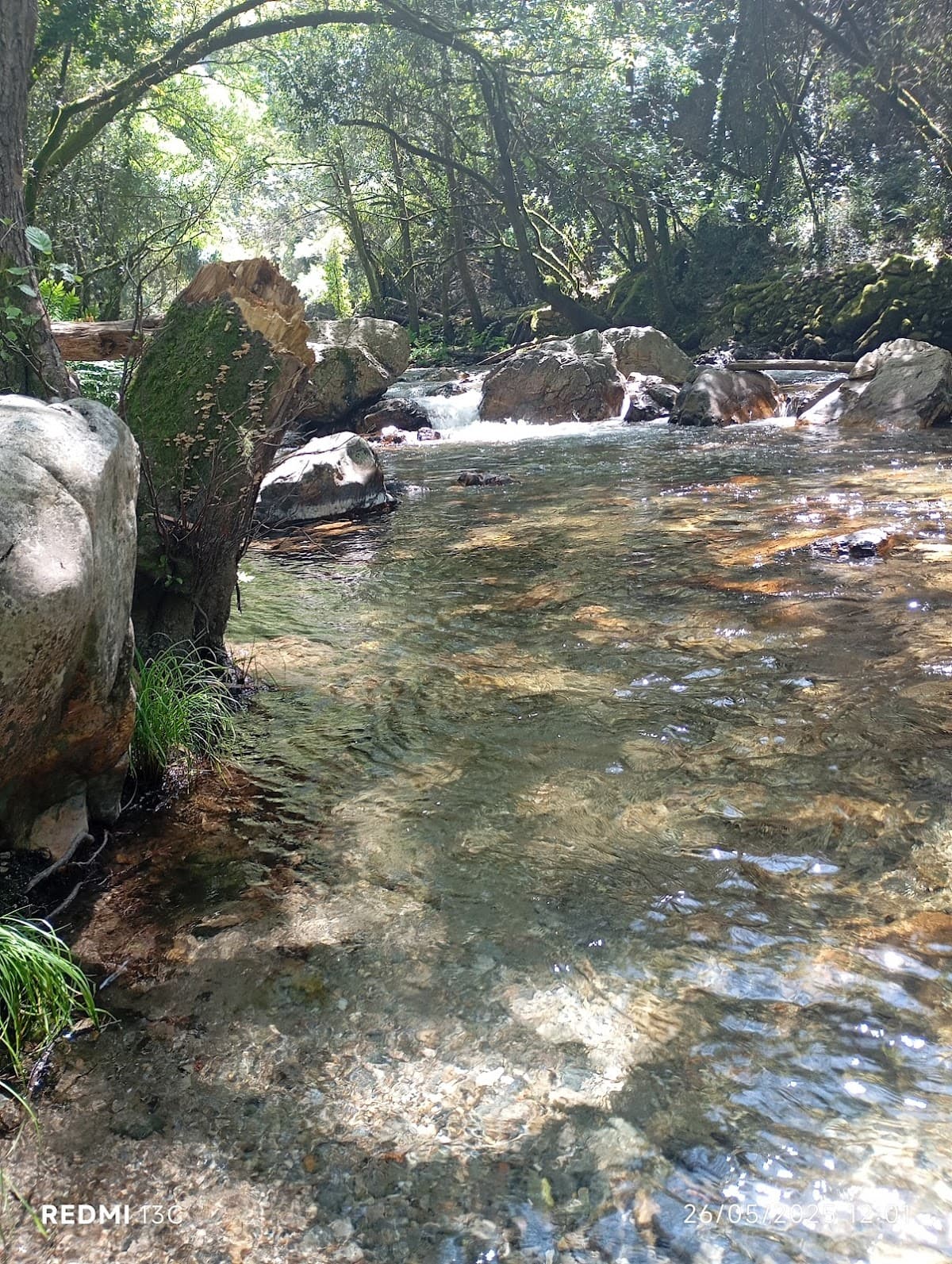 Praia Fluvial de Figueiró dos Vinhos — foto 3