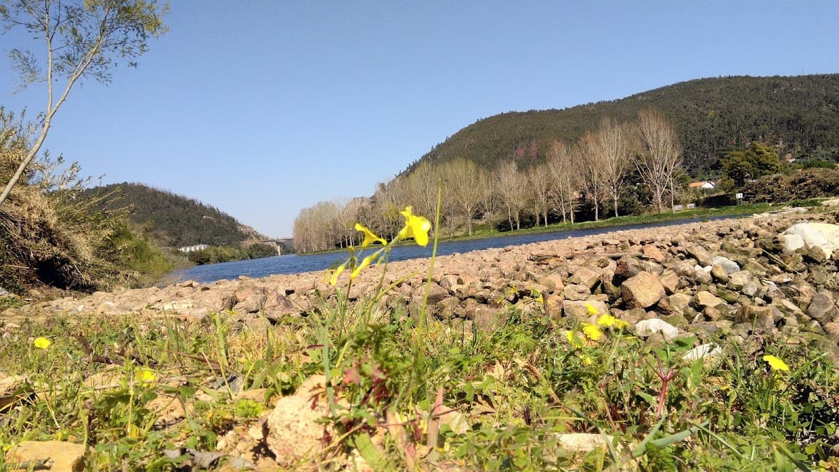 Praia Fluvial de Penacova — foto 3