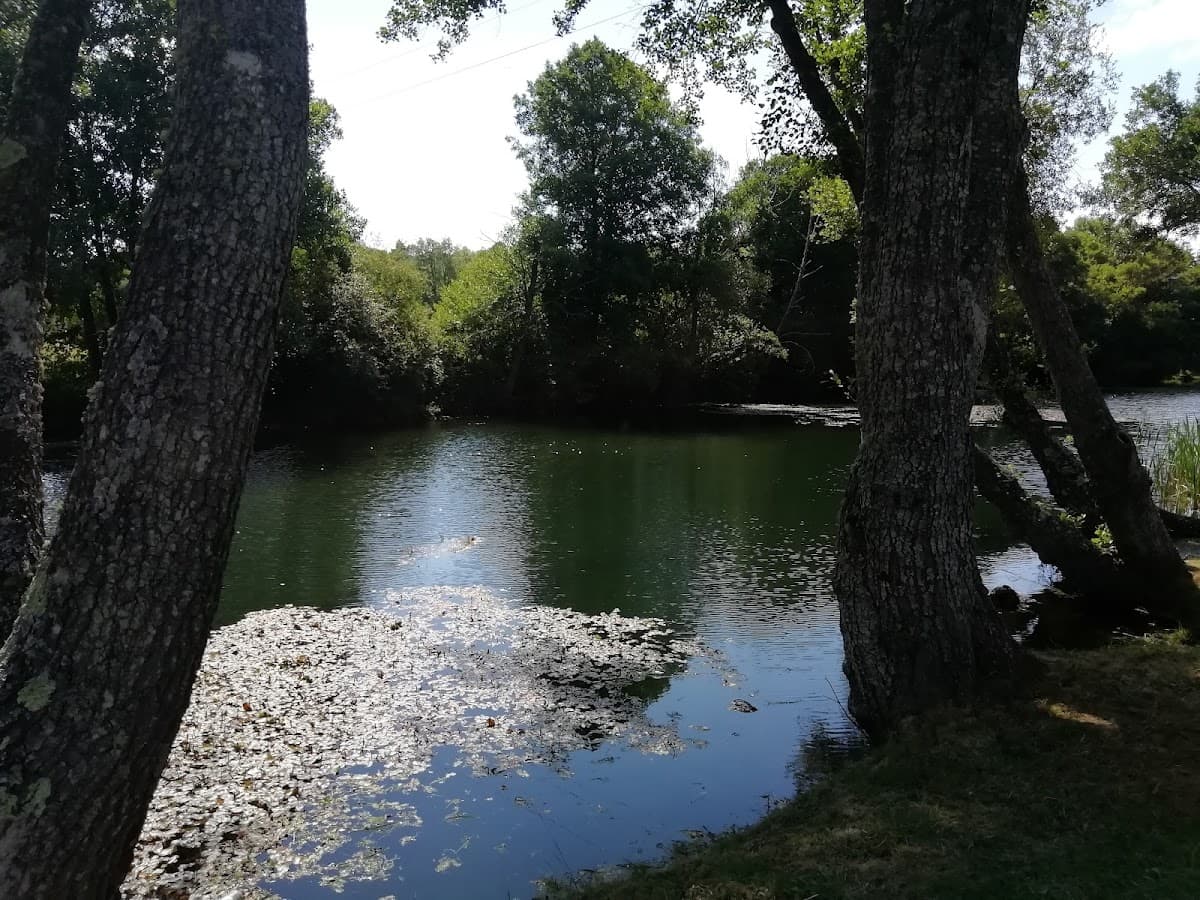 Praia Fluvial de Sabugal — foto 1
