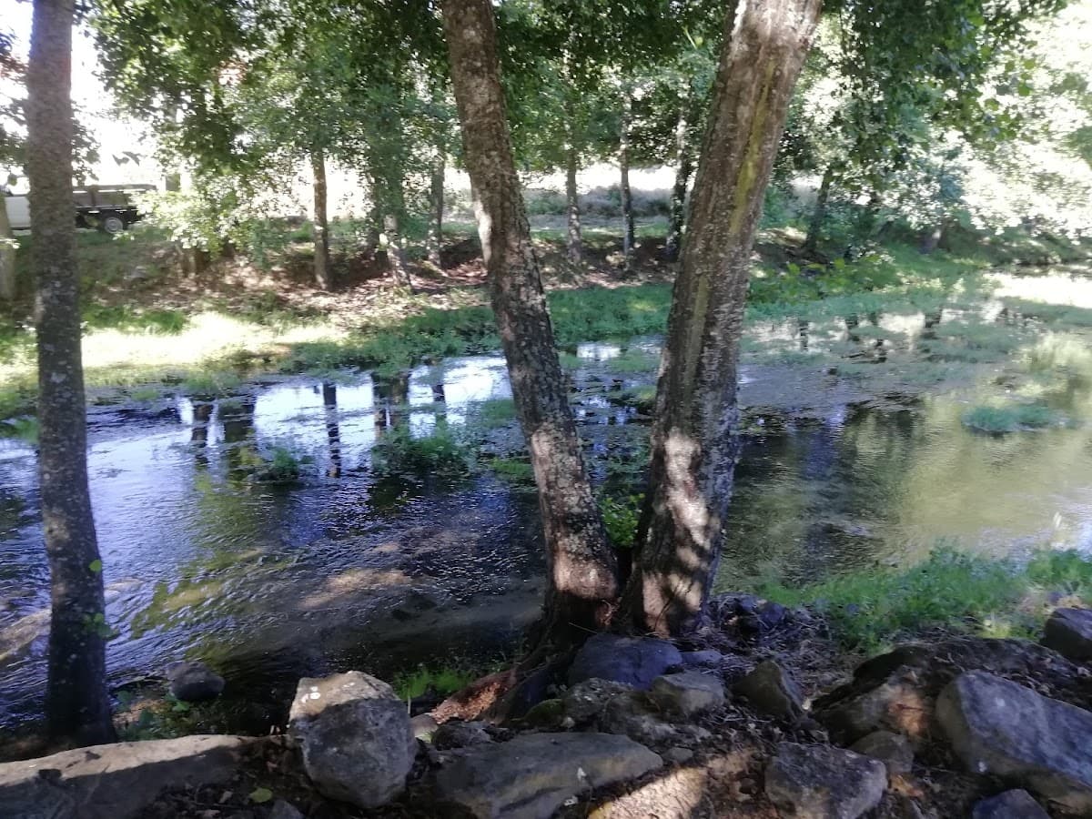 Praia Fluvial de Sabugal — foto 2