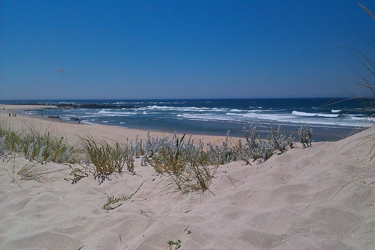 Praia de Afife — foto 4