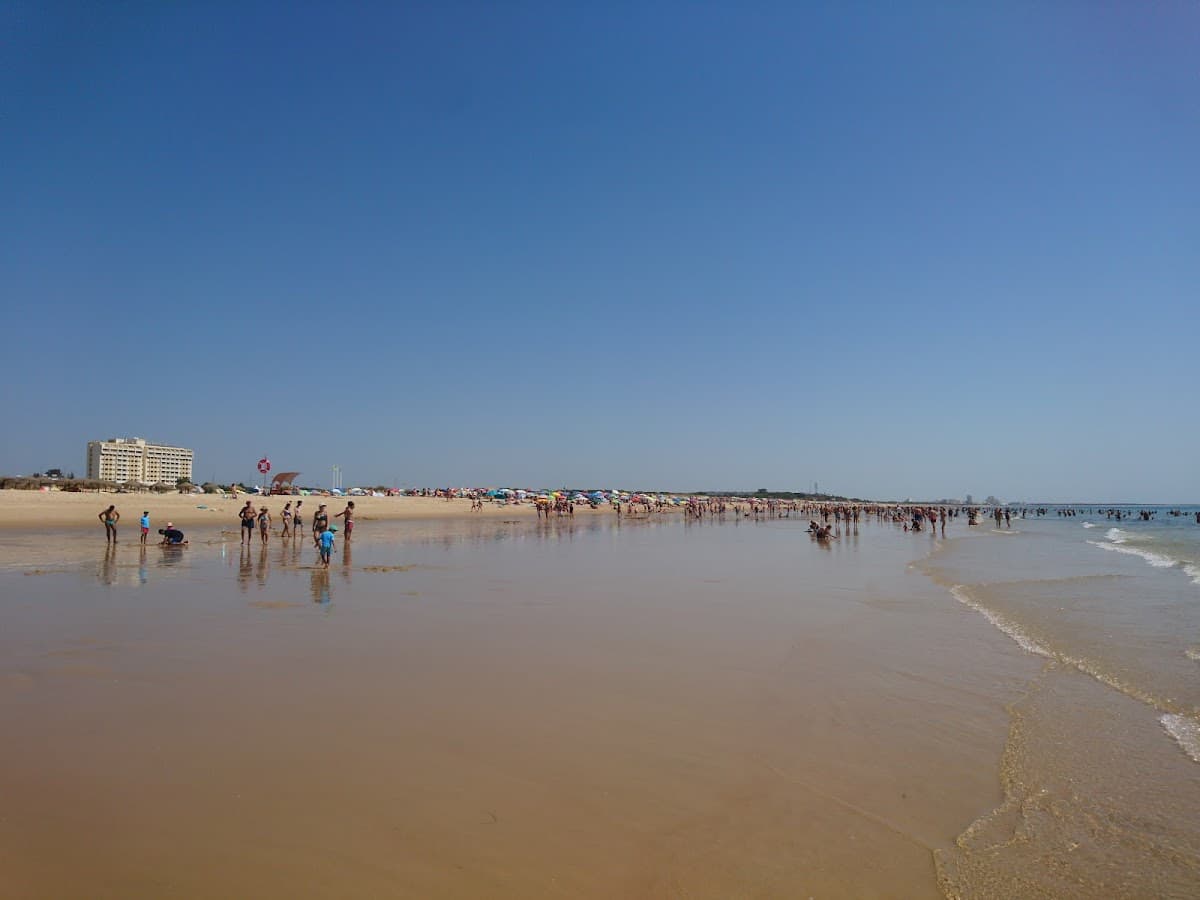 Praia de Alagoa-altura