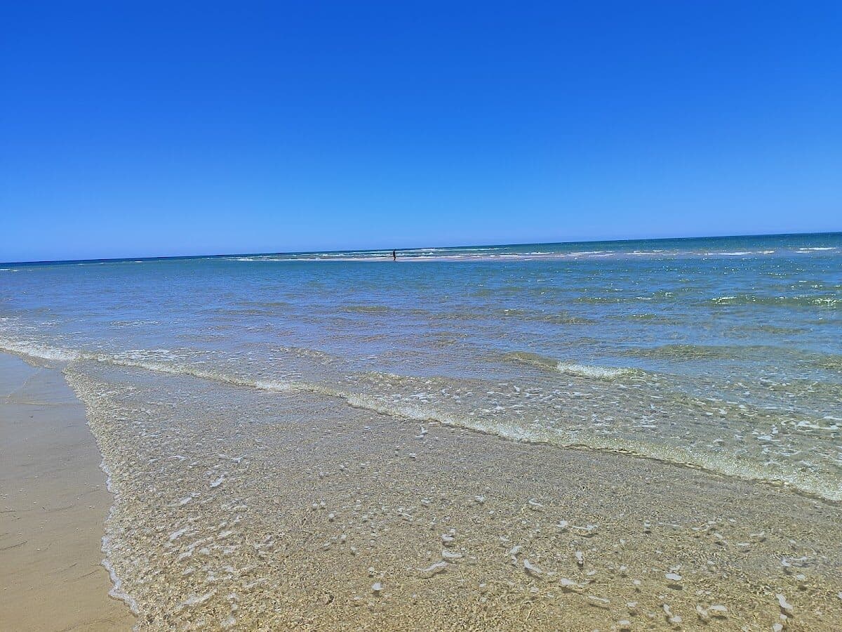 Praia de Armona-mar — foto 4