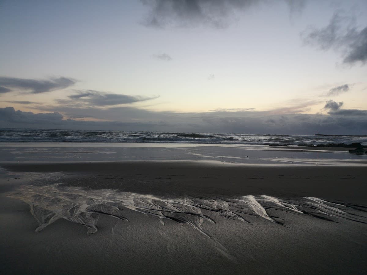 Praia de Árvore — foto 3