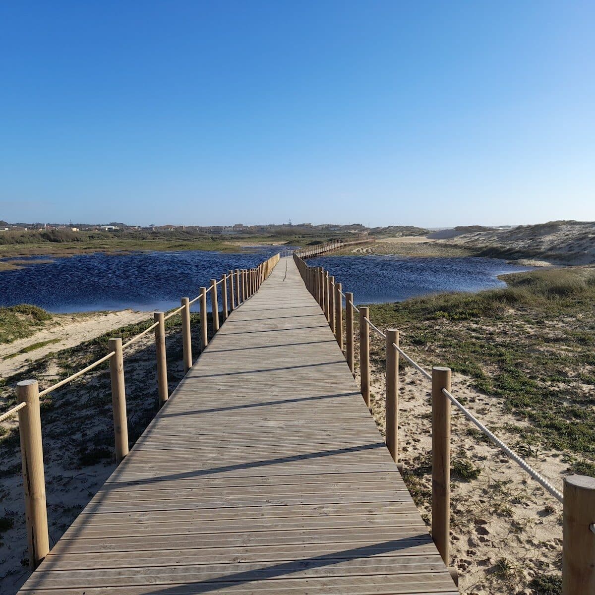 Praia de Árvore — foto 4