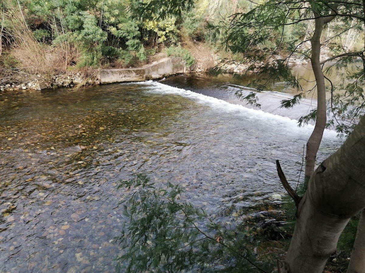 Praia de Avô — foto 4