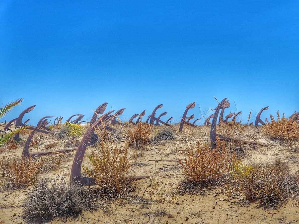 Praia de Barril — foto 3