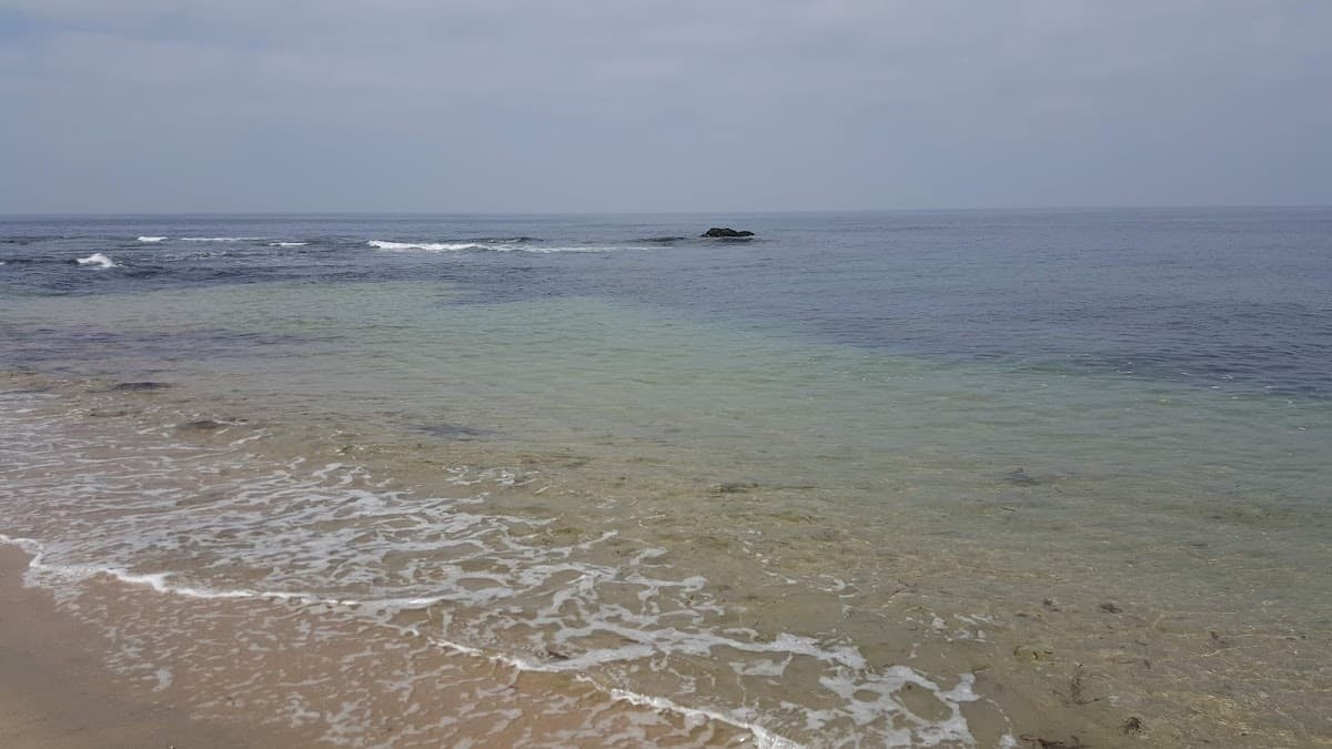 Praia de Codixeira — foto 4