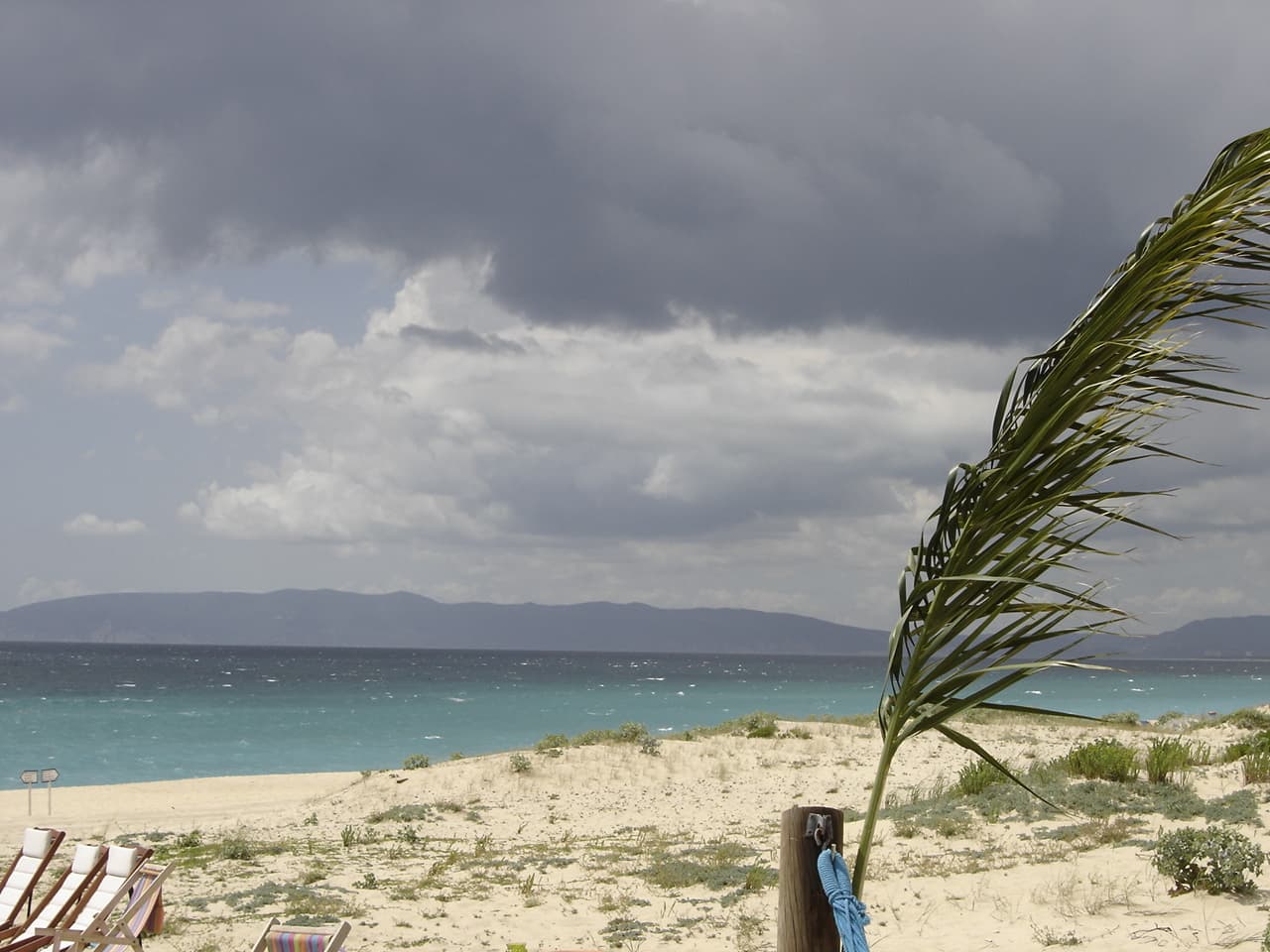 Comporta — foto 2