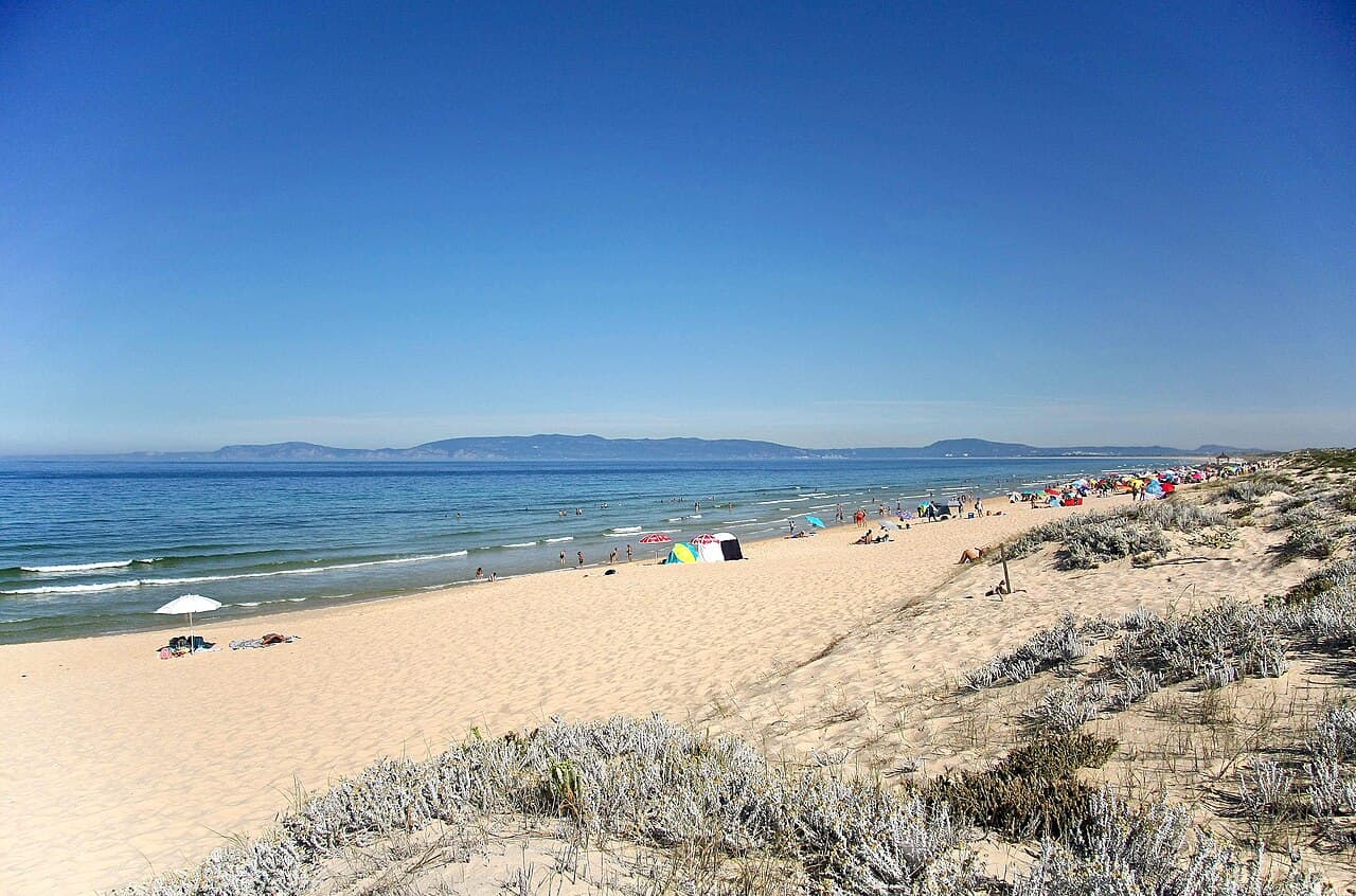 Comporta — foto 3