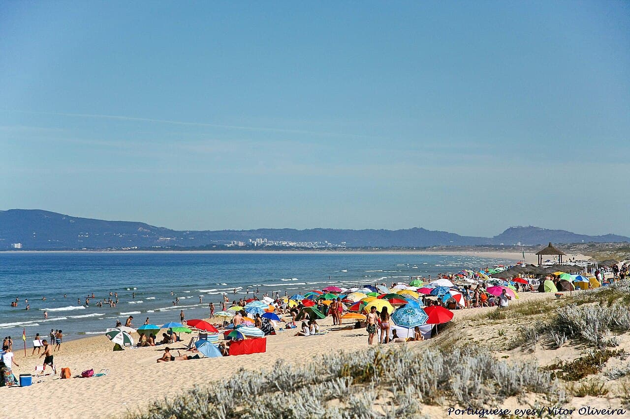 Comporta — foto 4