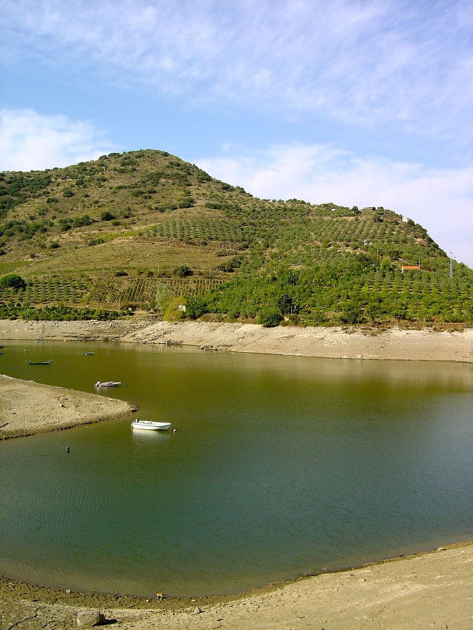Congida — foto 2