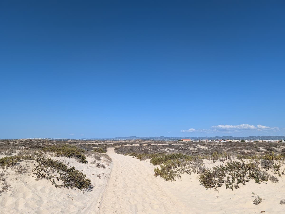 Praia de Culatra-mar — foto 3