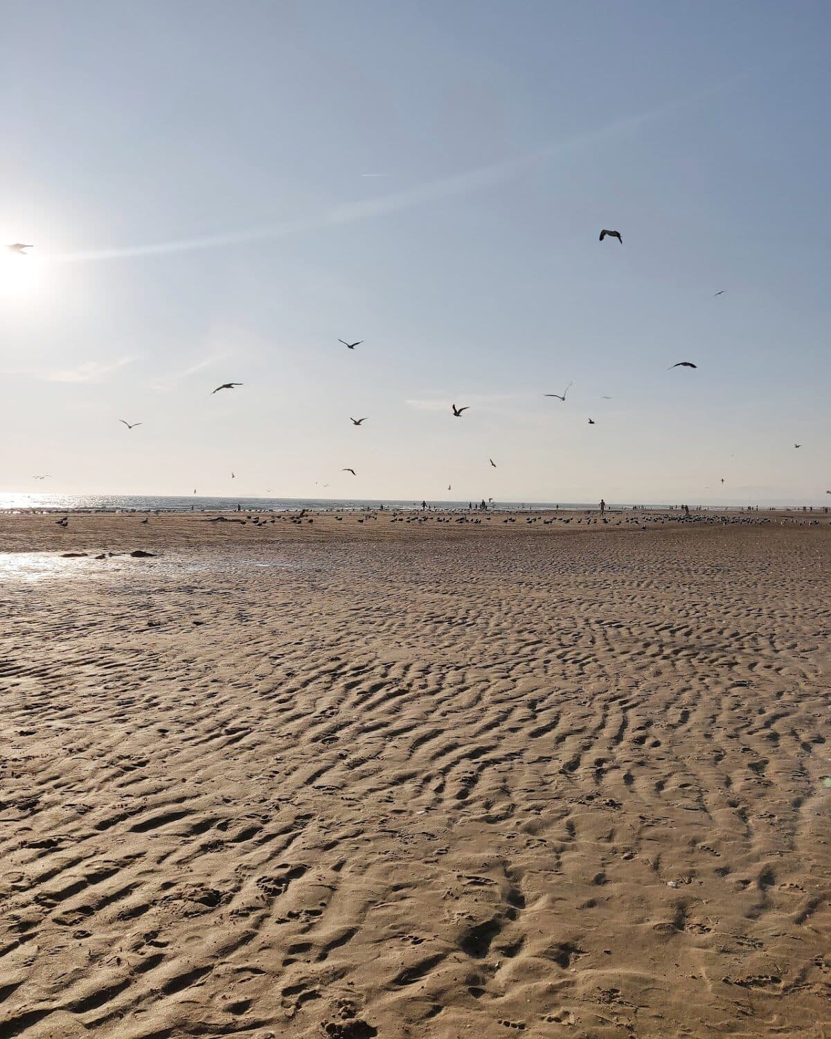 Praia de Riviera — foto 4