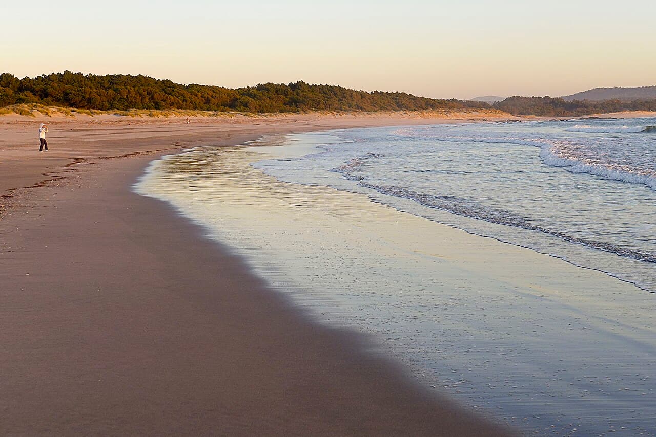 Rodanho — foto 4
