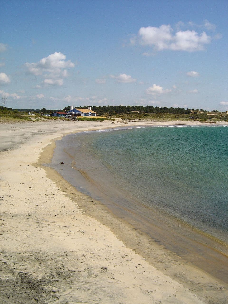 S. Torpes
