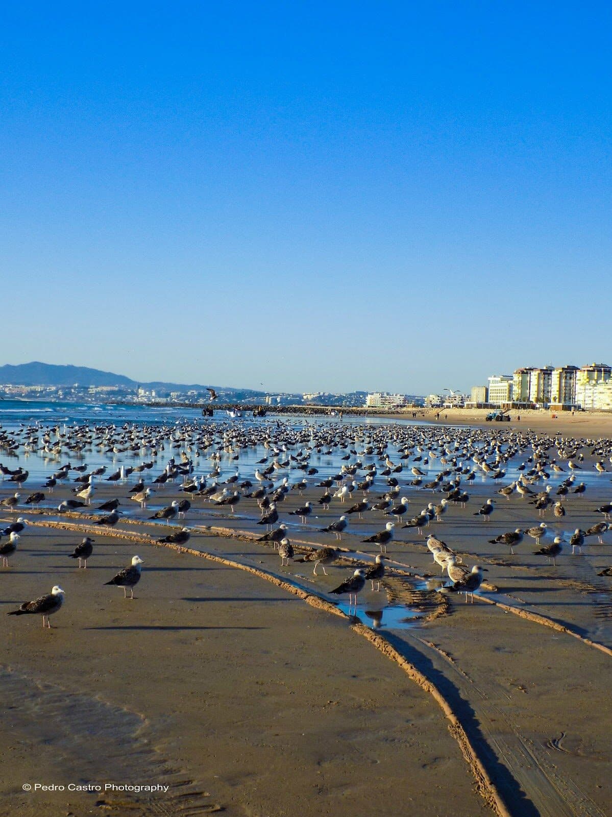 Praia de Saúde — foto 4