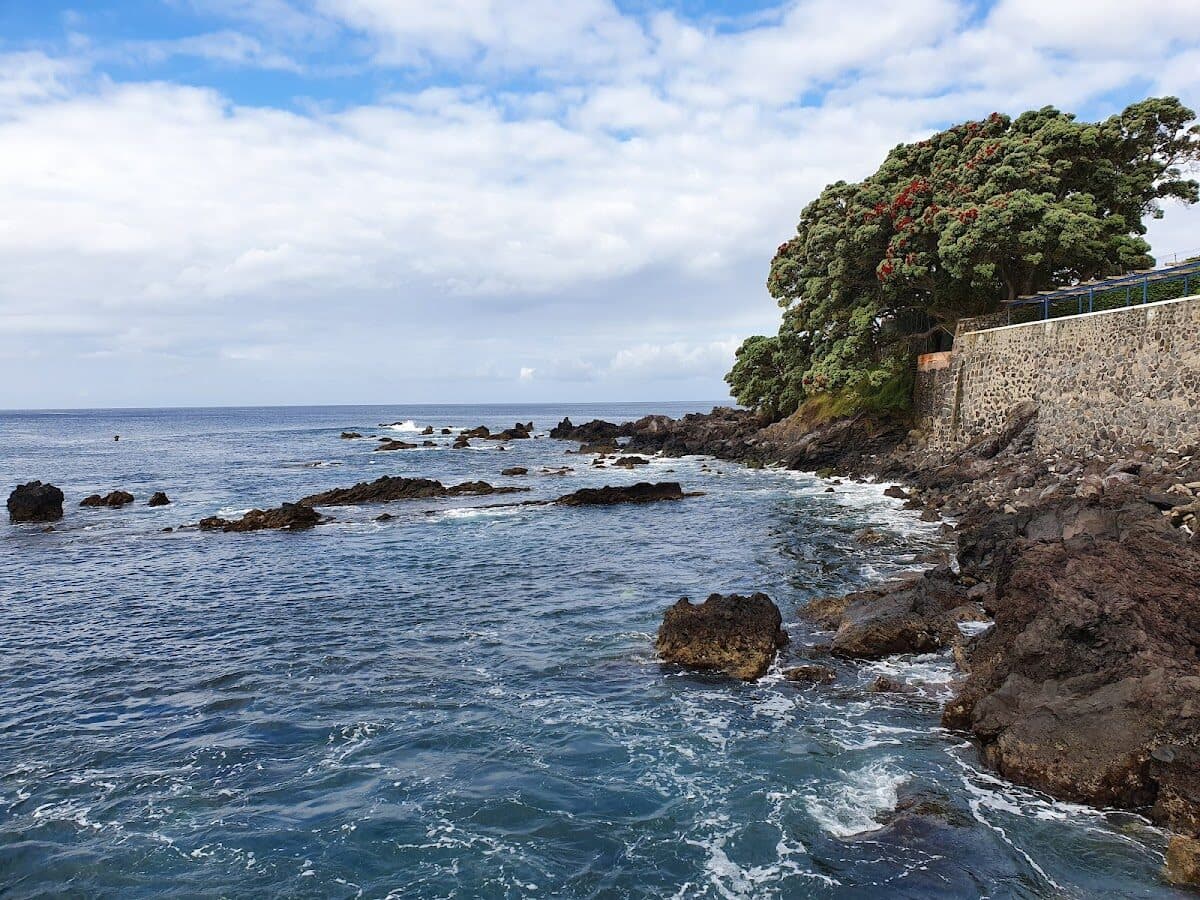 Praia de Silveira — foto 4