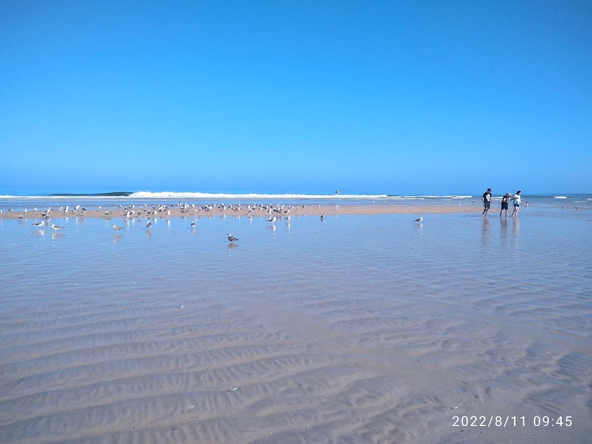 Praia de Vieira — foto 3