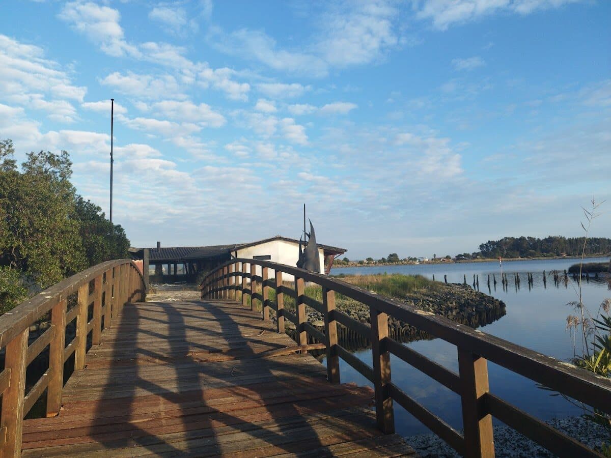 Praia de Areínho (ria Aveiro)