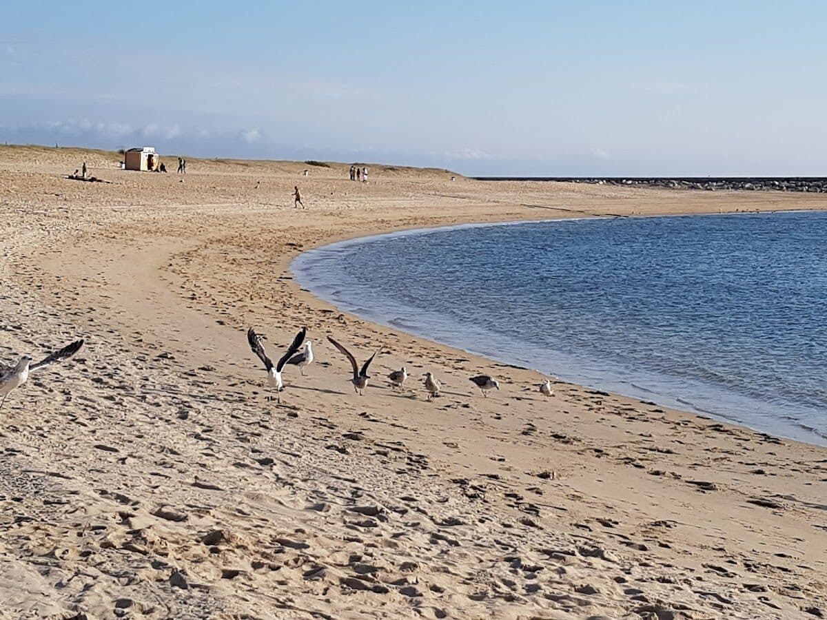 Praia de Cabedelo (figueira da Foz)