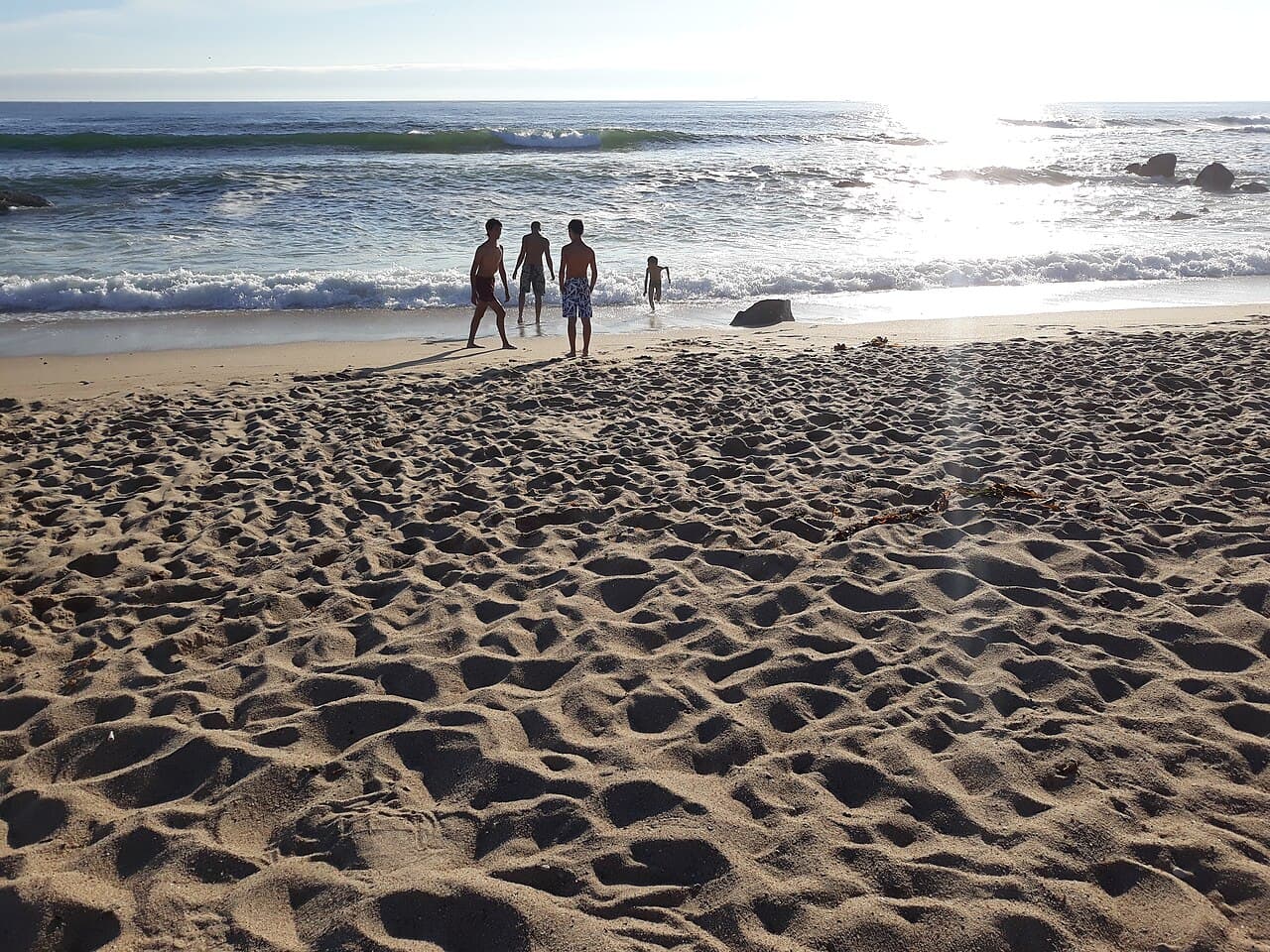 Canide-Norte