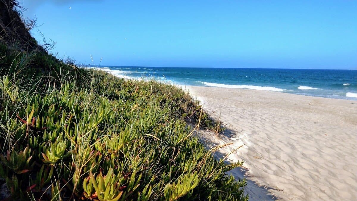 Praia de Torrão do Lameiro