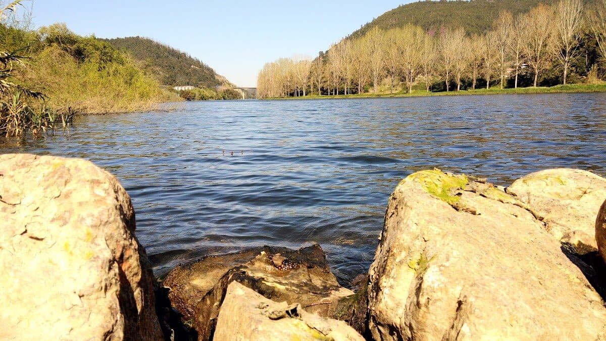 Praia Fluvial de Penacova