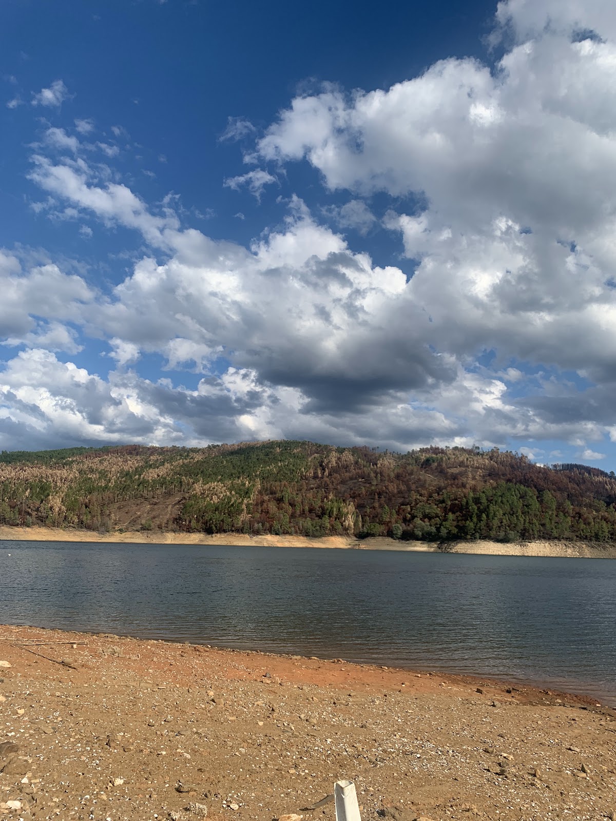 Praia Fluvial de Castelo de Bode